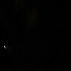 Meet your Posher, Candace